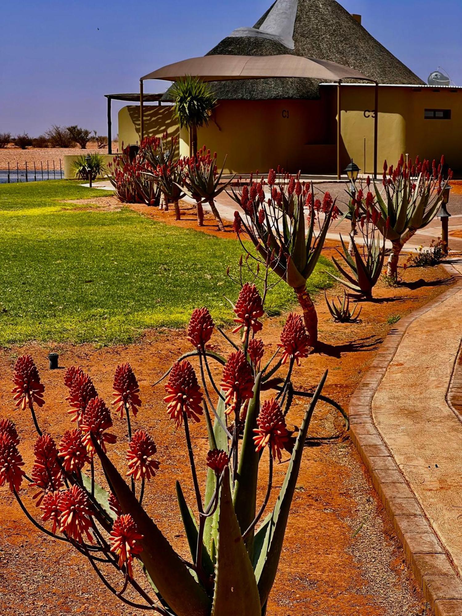 Lapa Lange Game Lodge Mariental Eksteriør billede